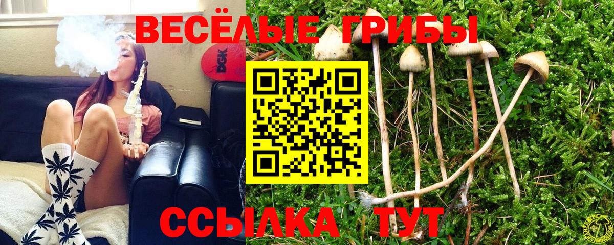 Галлюциногенные грибы ЛСД  купить наркотики сайты  Вход с VPN  Благовещенск  Галлюциногенные грибы Magic Shrooms 
